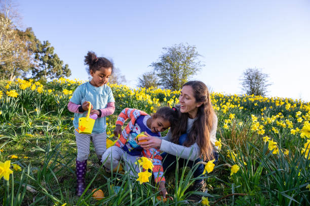 wir haben ostereier gefunden! - daffodil flower spring easter egg stock-fotos und bilder