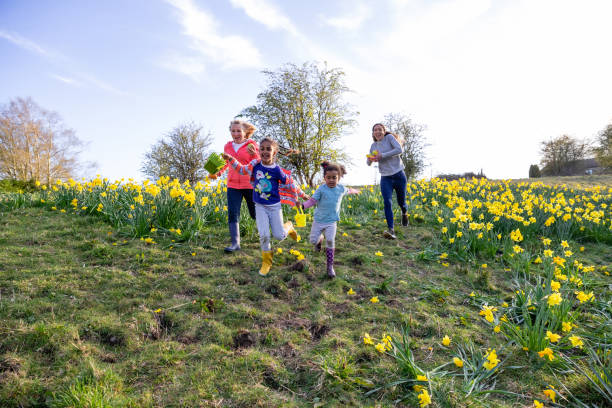 tiempo de pascua al aire libre - daffodil easter egg hunt easter easter egg fotografías e imágenes de stock