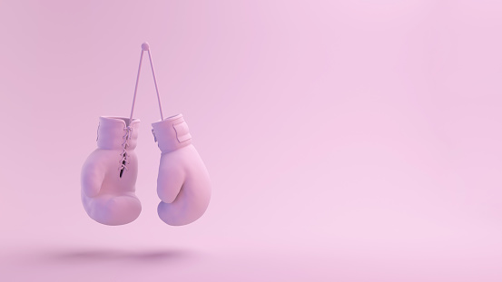 Pink Series Boxing Gloves