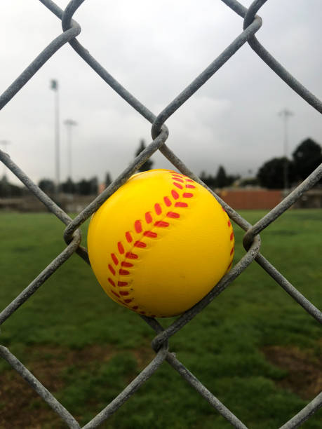 istock Yellow Baseball stuck in a fence 1365410629