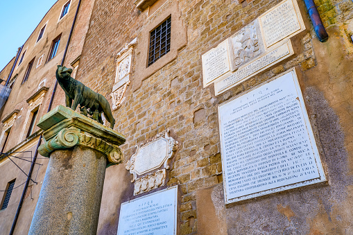 A view of the bronze copy of the Capitoline Wolf, symbol of the founding of Rome, with the figures of Romulus and Remus suckled by a she-wolf, near the side facade of the Palazzo Senatorio in the Campidoglio (Roman Capitol), on the Capitoline Hill, in the historic core of Rome. The Palazzo Senatorio was built between the 12th and 13th centuries on the ruins of the Tabularium, a building used in Ancient Rome to keep historical and state documents. It was renovated during the 16th century based on a design by Michelangelo Buonarroti and later by the architect Giacomo Della Porta. Since 1144 it has been the seat of the Municipality of Rome. Considered by the ancient Romans a sacred and indestructible place, the Roman Capitol has always represented one of the most symbolic places of the Roman Forums, as well as the nerve center of the entire Roman civilization. In 1980 the historic center of Rome was declared a World Heritage Site by Unesco. Image in high definition format.