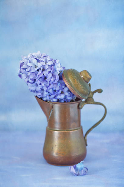 istock Beautiful purple hyacinth in antique copper . 1365412749