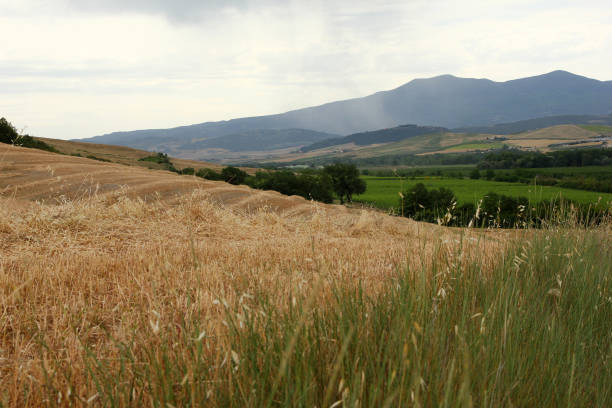 The great nice Tuscan countryside in Italy. Fresh green fields and meadows everywhere with Monte Amiata on the horizon.