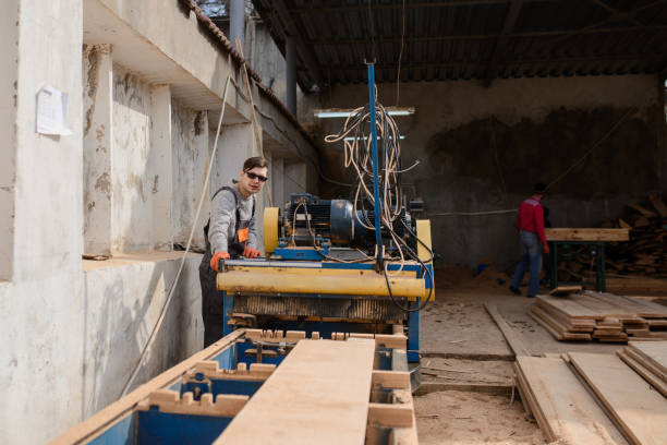 istock Young man carpenter at the wooden sawmill 1365415122