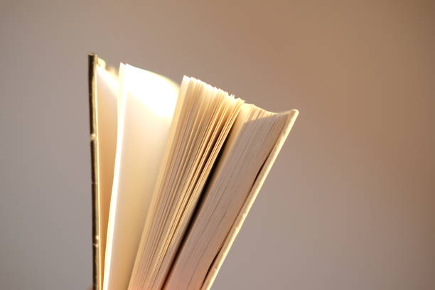 istock Page of an open book. Paper edition 1365416042