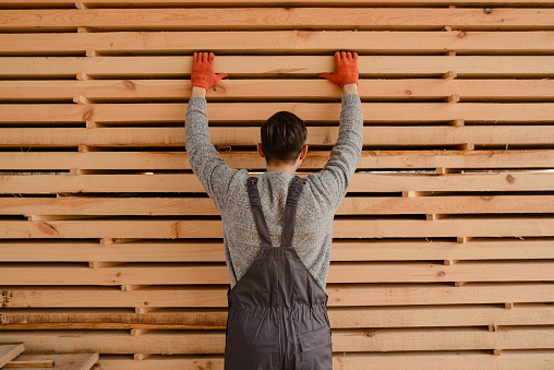 Back view of young man carpenter at the wooden warehouse try to arrange or to use a wooden plank/board from a big wood timber stack of wooden planks.