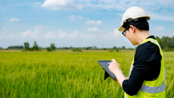 istock Asian male agronomist observing on rice field 1365419985