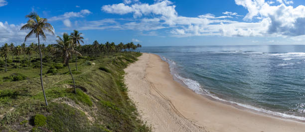 istock panoramic view on brazilian coast in Bahia 1365422164