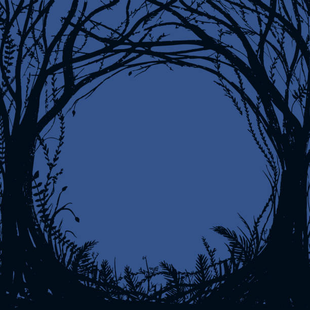 손으로 그려진 마법에 걸린 숲. 파란색 배경에 벡터 할로윈 프레임 - forest stock illustrations