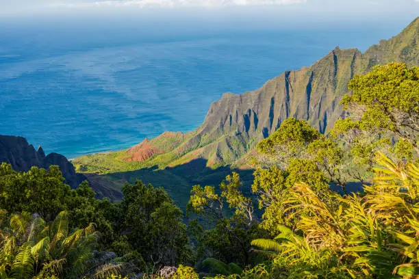 View of Na Pali Coast from the Kalalau Lookout at Kokee State Park on Kauai Island, Hawaii