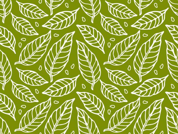 Matcha Leaves Pattern 2,800+ Matcha Leaves Stock Illustrations, Royalty-Free Vector Graphics ...