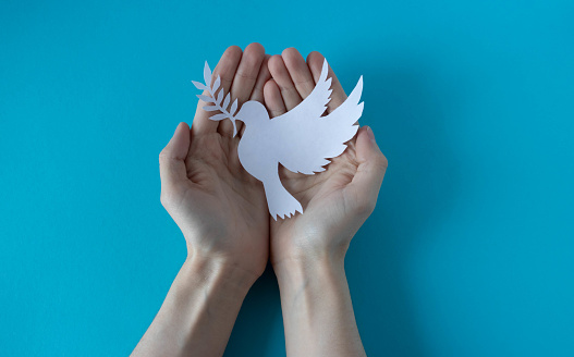 Manos sosteniendo una paloma blanca de papel sobre un fondo azul. Día Mundial de la Paz. Día Mundial de la Ciencia para la Paz y el Desarrollo photo