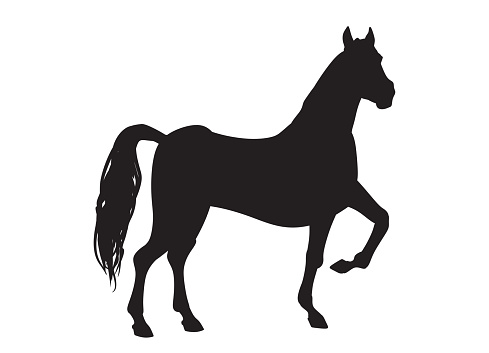 Horse silhouette on white background isolated.