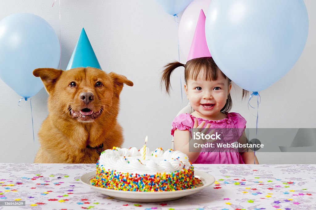 Fête d'anniversaire d'animal de compagnie - Photo de Anniversaire libre de droits