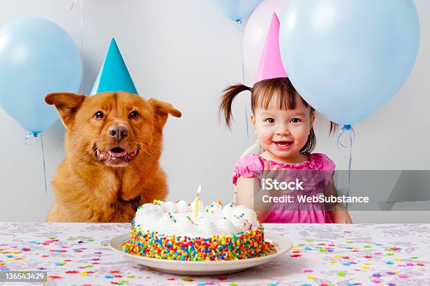 버스데이 천문학자 Pet 생일에 대한 스톡 사진 및 기타 이미지 - 생일, 개, 아이