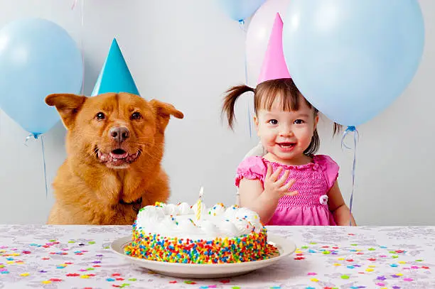 Girl and dog celebrating birthday