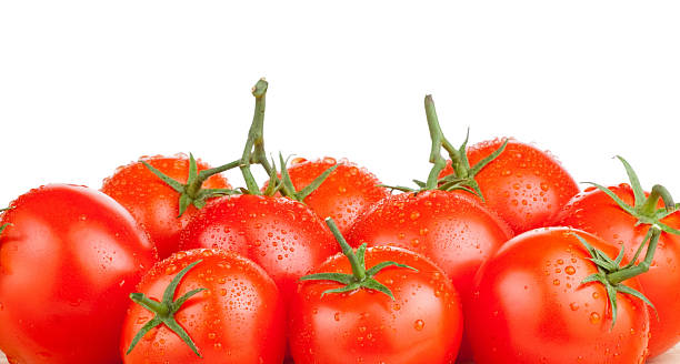 frische tomaten, isoliert auf weißem hintergrund - vibrant color part of full studio shot stock-fotos und bilder