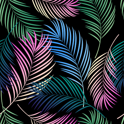 seamless pattern tropical . colorful palm leaves on a black  background. vector