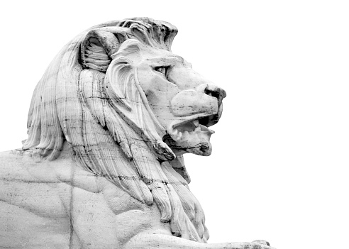 Marble sculpture of lion head isolated in white background, side view black and white picture