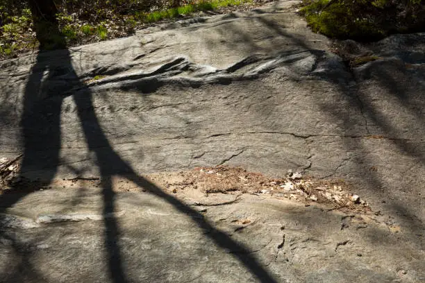 Glacially scoured bedrock in granite schist, below New Britain Reservoir in Wolcott, Connecticut.