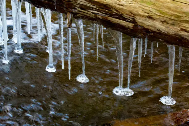 Photo of Icicles hanging from a log at Day Pond Falls, Connecticut.