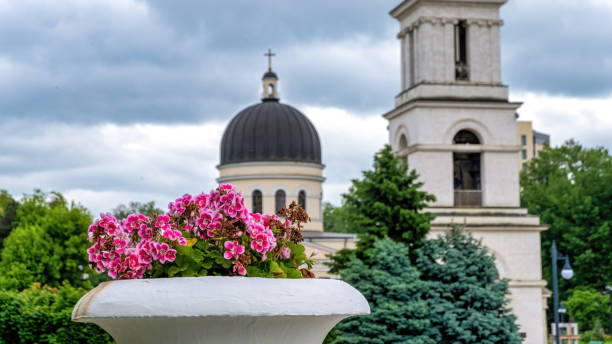 Flowerpot with pink flowers in the center of Chisinau, Moldova Flowerpot with pink flowers in the center of Chisinau, Central cathedral and belltower on the background, Moldova Flowerpot with pink flowers in the center of Chisinau, Central cathedral and belltower on the background, Moldova chisinau photos stock pictures, royalty-free photos & images