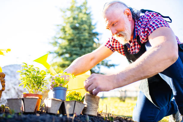 istock Mature bearded man working in garden 1365441505