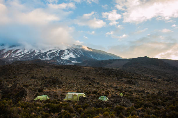 Camping at Buffalo Camp on the Lemosho trail during an ascent of Kilimanjaro. Northern side of Kili, near to the Kenyan border.