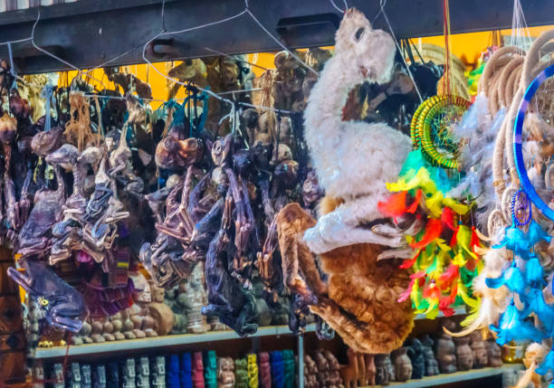 плоды лам на рынке колдуна в ла-пасе, боливия - street stall стоковые фото и изображения