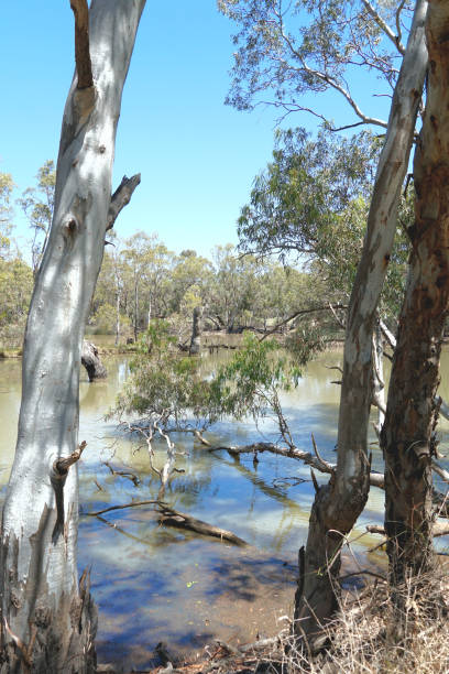 istock Horsham,  Victoria, Australia 1365451218
