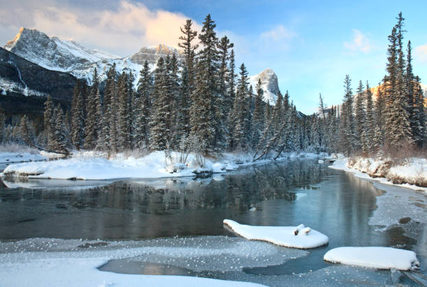 istock Canadian Rockies in Winter 1365452177