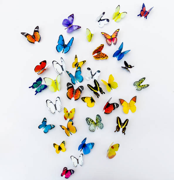 istock Photo of decorative butterflies pattern isolated on white background with copy space. Fresh spring summer beautiful season flat lay and top view, freedom vivid happiness concept banner 1365452337