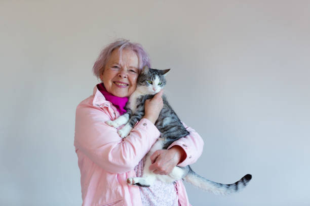 Senior woman, 68 years old, wearing pink jacket and scarf, holding her tabby cat, standing in front of white wall