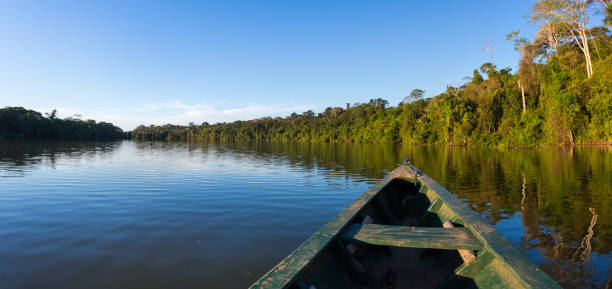 Amazon rivers and jungle stock photo