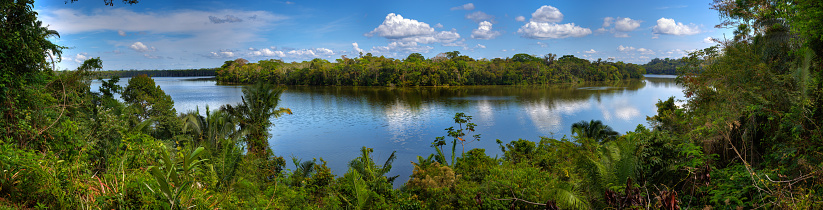 Panoramic view of Sandoval Lake, in Tambopata natural reserve, Peru.