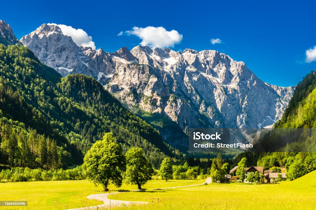 Logar valley or Logarska dolina in the Alps of Slovenia Logar valley or Logarska dolina in the Alps of Slovenia. High quality photo Slovenia Stock Photo