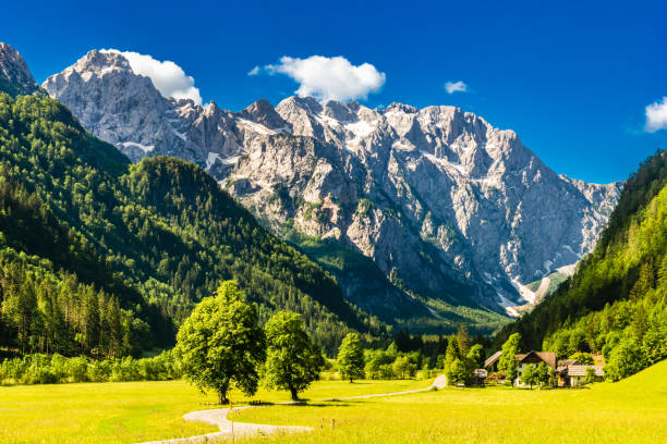 Logar valley or Logarska dolina in the Alps of Slovenia stock photo