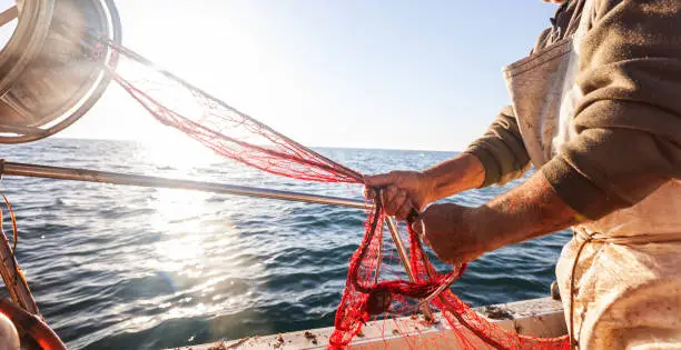 Photo of Fisheries in Italy: fisherman pulling fishing nets