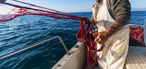 289 Deep Sea Net Fishing Stock Photos, High-Res Pictures, and