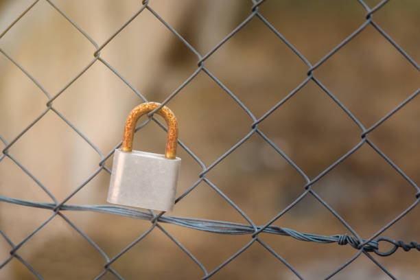 istock A rusted and forgotten padlock on a wire fence 1365463144