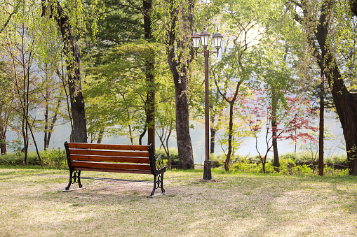 Green bench and colorful flowers and plants in the beautiful park. Spring or summer day in Zagreb, Croatia. Selective focus.