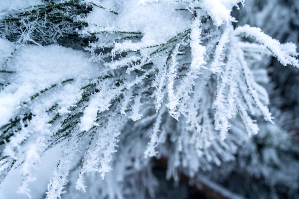 istock Freezing season - beautiful winter scenery 1365469518