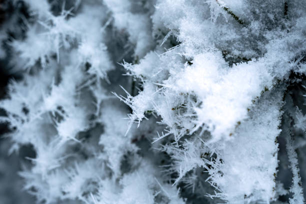 istock Freezing season - beautiful winter scenery 1365469546