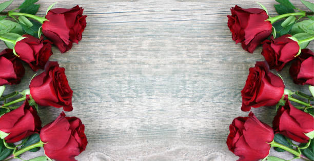 red roses border flat allongé sur une table en bois rustique avec espace de copie pour les vacances de la saint-valentin, arrière-plan de la saint-valentin - dozen roses rose flower arrangement red photos et images de collection