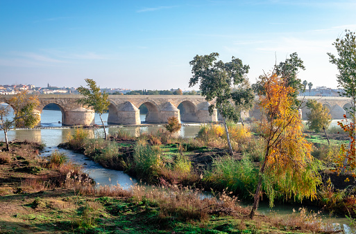 The Roman bridge that spans river Guadaquivir in the preserved area Sotos de la Albolafia, in Cordoba, Andalusia, Spain.