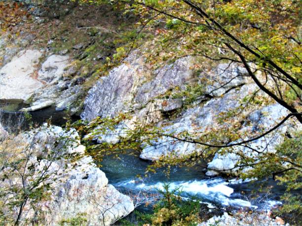 istock Japan. November.  Very fast mountain  river in Tochigi prefecture. 1365472814