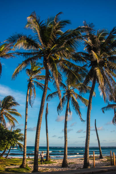 istock San Andres Island, Colombia 1365472961