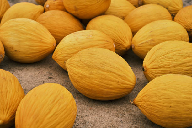 fresh melons in the market
