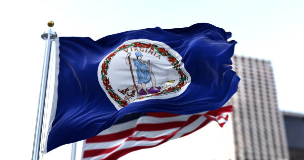 a bandeira do estado americano da virgínia acenando ao vento - virgínia estado dos eua - fotografias e filmes do acervo