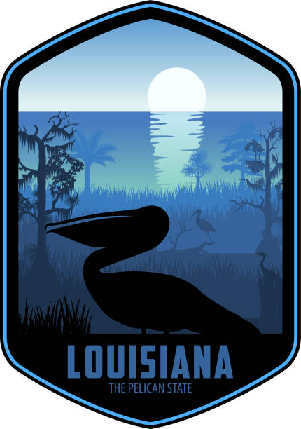 louisiana vektor-label mit braunem pelikan und sumpf-feuchtgebiet meeresküste - sumpf stock-grafiken, -clipart, -cartoons und -symbole